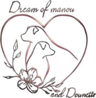 logo-dream-of-manou
